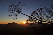 Alla CROCE del MONTE CASTELLO (1425 m) da Valpiana di Serina il 31 dicembre 2018 - FOTOGALLERY